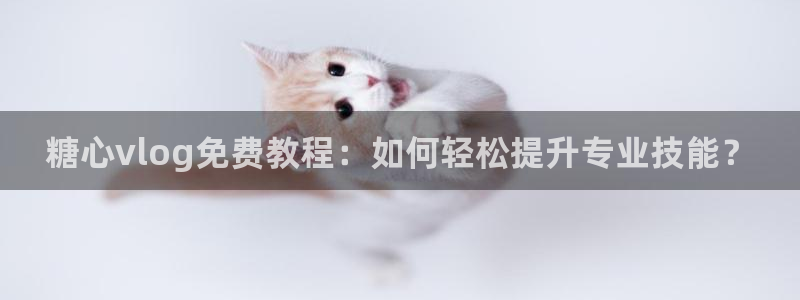 糖心vlog舒怡:糖心vlog免费教程: