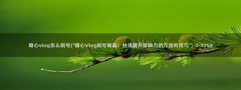 糖心vlog摄影师:糖心vlog怎么刷号